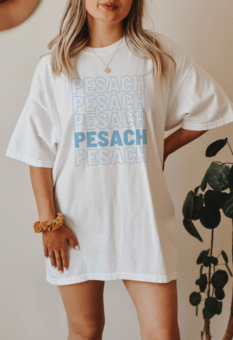 Pesach T-Shirt