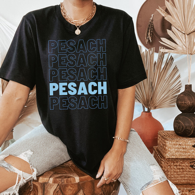 Pesach T-Shirt