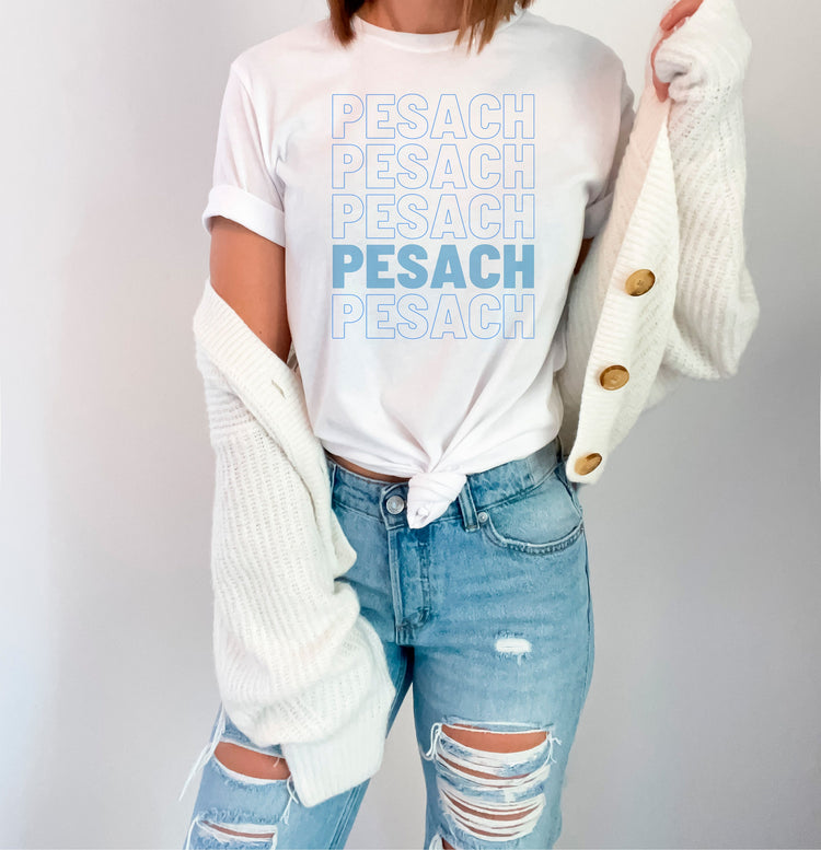 Pesach T-Shirt
