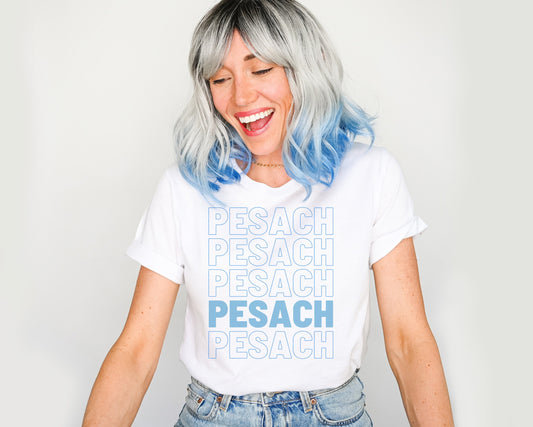 Pesach T-Shirt