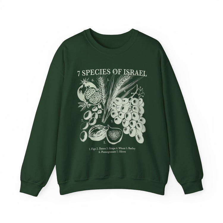 Spices of Israel Sweatshirt