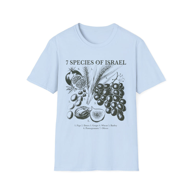 Spices of Israel T-Shirt