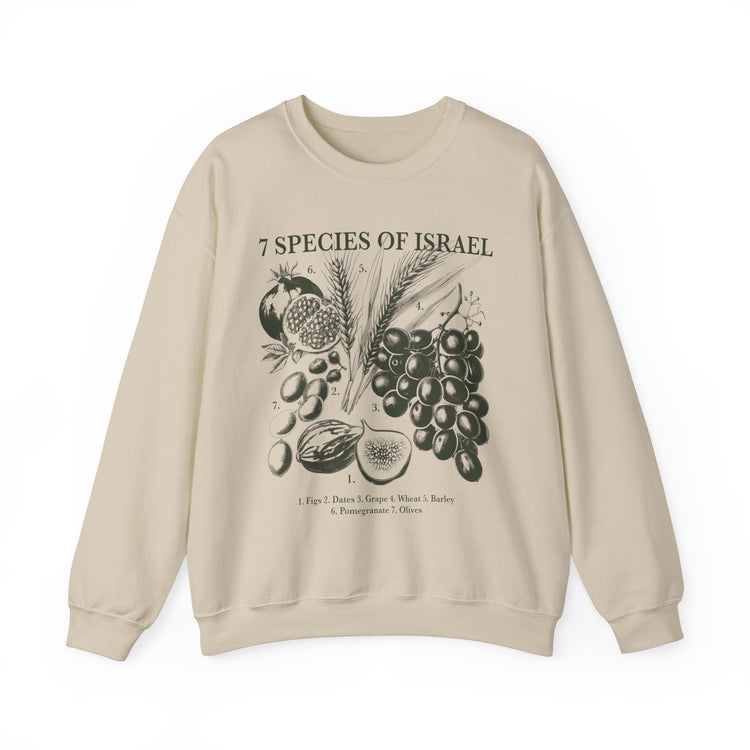 Spices of Israel Sweatshirt