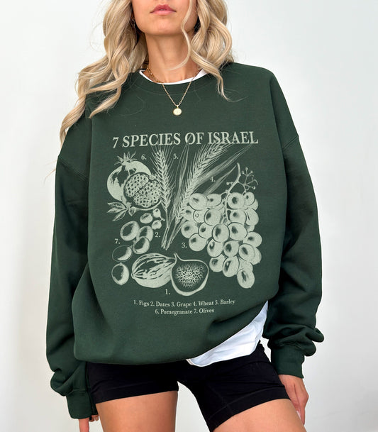 Spices of Israel Sweatshirt