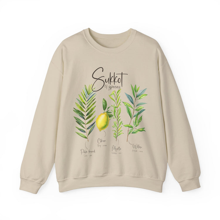 Sukkot Palm Willow Myrtle Tree Citrus Sweatshirt