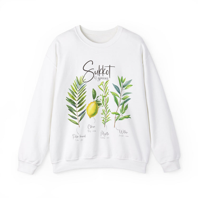 Sukkot Palm Willow Myrtle Tree Citrus Sweatshirt