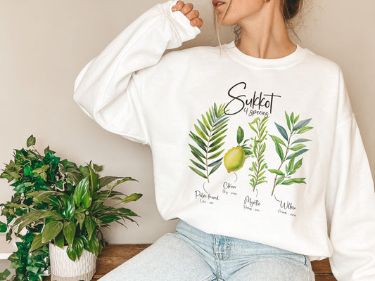 Sukkot Palm Willow Myrtle Tree Citrus Sweatshirt