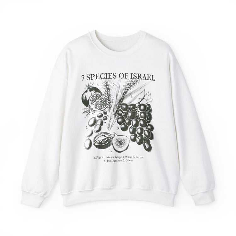 Spices of Israel Sweatshirt