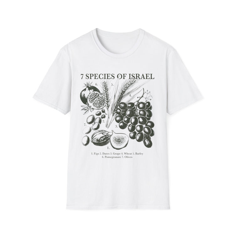 Spices of Israel T-Shirt