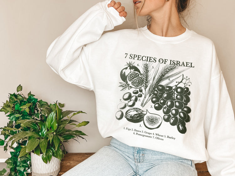 Spices of Israel Sweatshirt